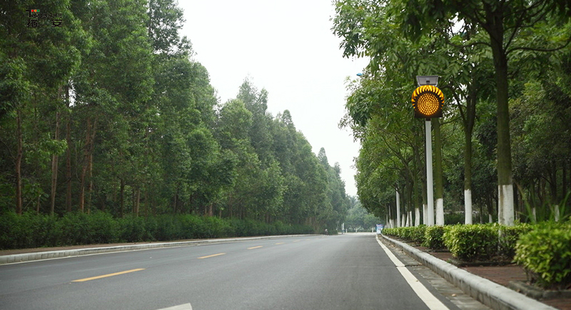 125676454745.jpg